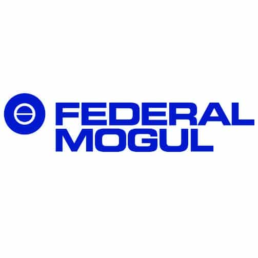 Logo FederalMogul partener ZenDiet